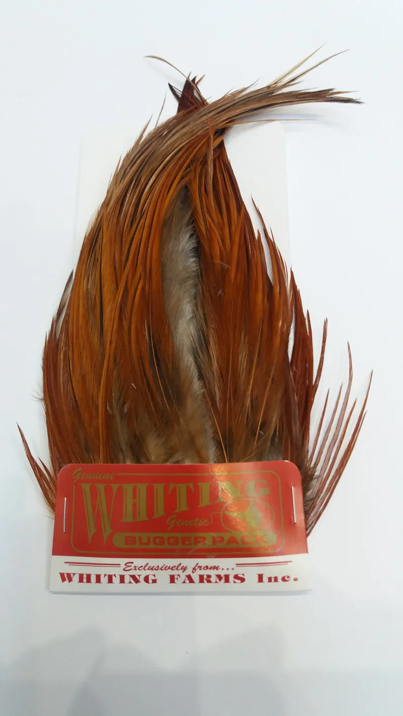 Whiting Bugger Pack in Brown